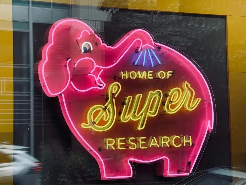 Hannah Mormann Mensch & Technologie Vorträge und Seminare